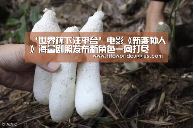 ‘世界杯下注平台’电影《新变种人》海量剧照发布新角色一网打尽(图2) 世界杯下注平台