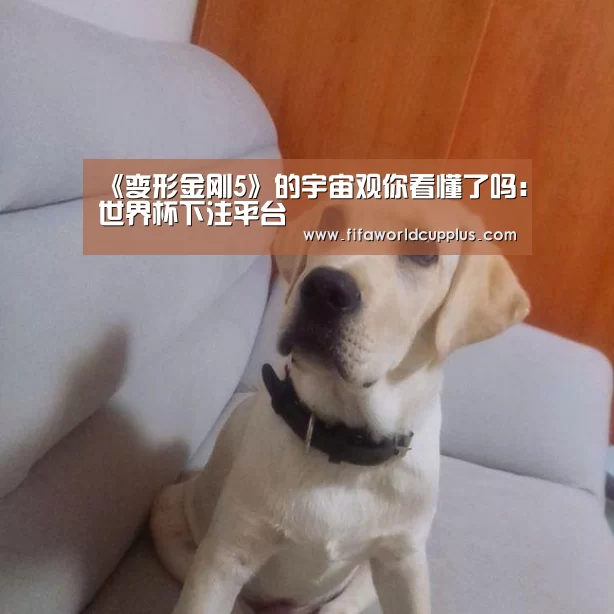 《变形金刚5》的宇宙观你看懂了吗:世界杯下注平台(图2) 世界杯买球